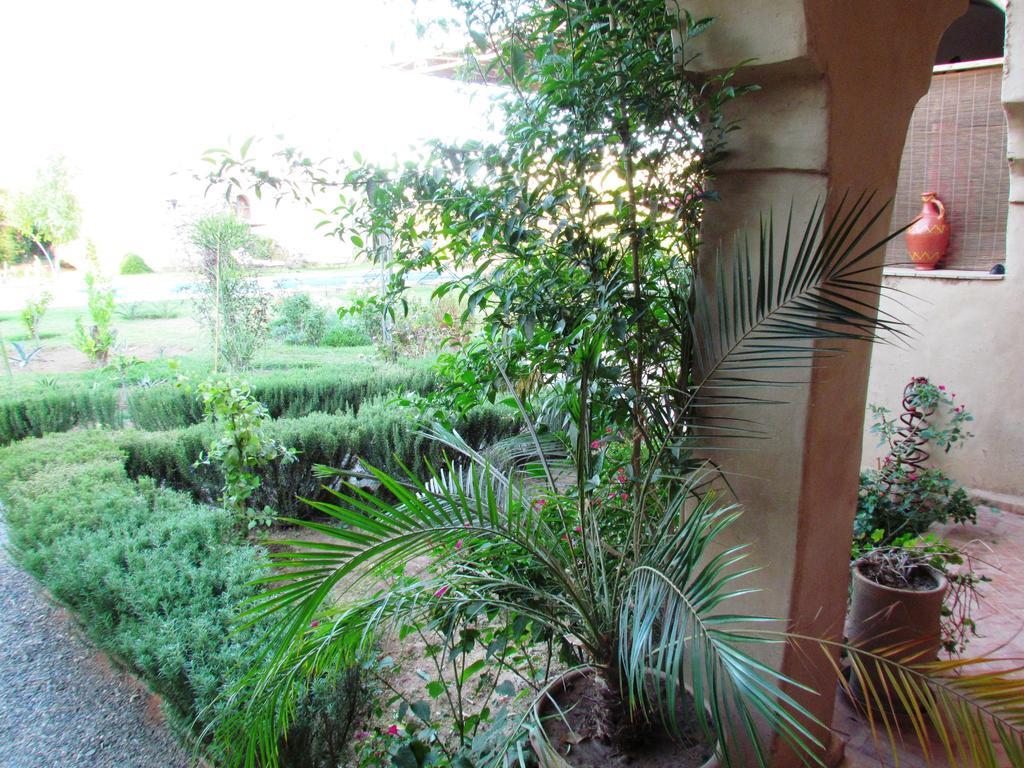 Le Jardin Des Epices Hotel Tarudante Exterior foto